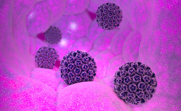 וירוס הפפילומה האנושי HPV (צילום: Naeblys, Shutterstock)