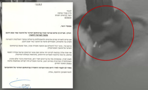 אלימות בבאר שבע (ארכיון) ומכתבו של דנילוביץ' לשר (צילום: משטרת ישראל)