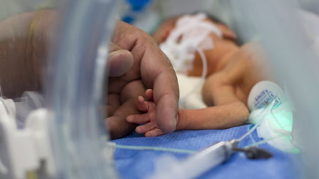 אילוסטרציה