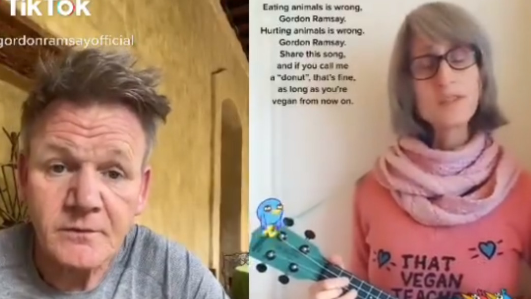 המורה הטבעונית הזו וגורדון רמזי המורה הטבעונית הזו וגורדון רמזי