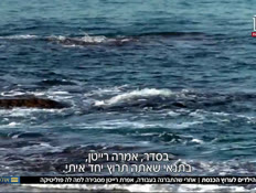 אפרת רייטן: מערוץ הילדים לערוץ הכנסת (צילום: חדשות)