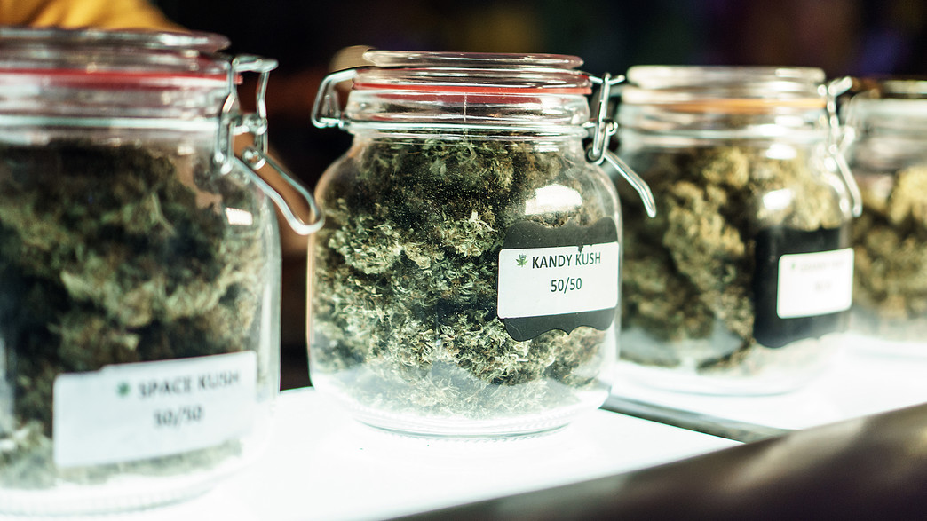 קנאביס רפואי בצנצנת קנאביס רפואי בצנצנת