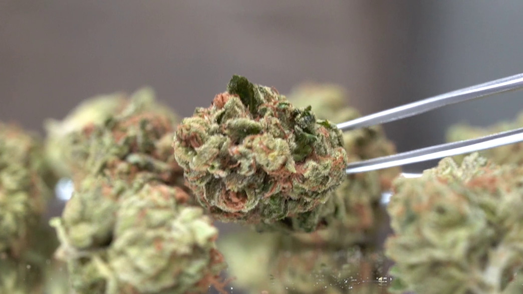 הכירו את Support PK 