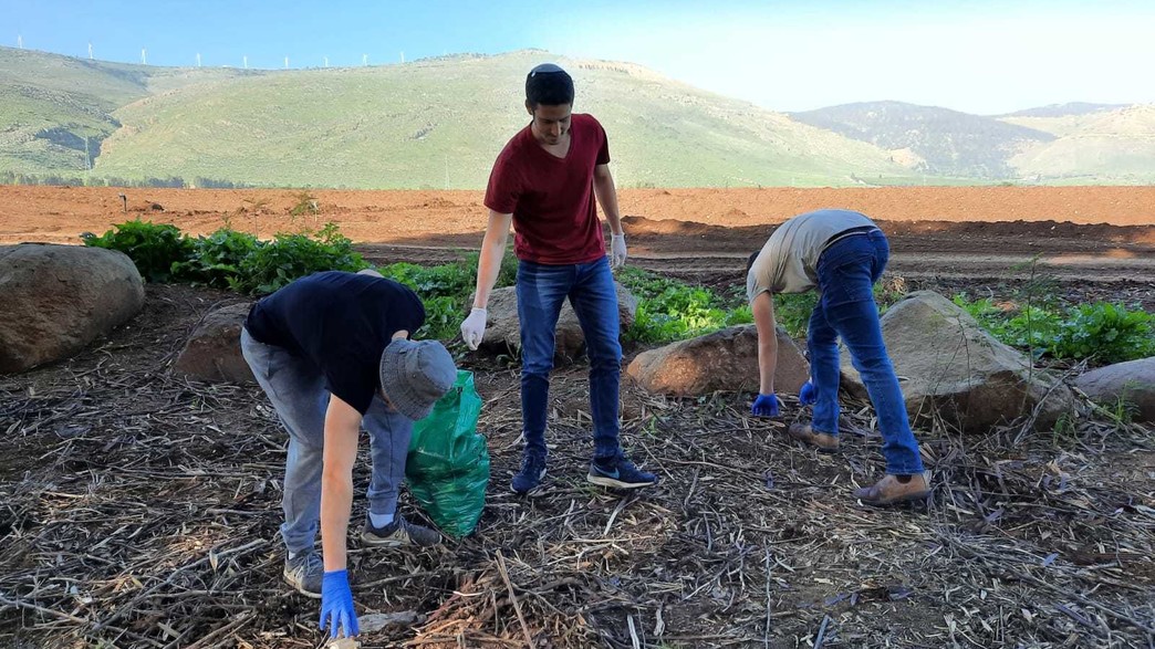 חניכי מכינה מנקים את פארק המעייינות