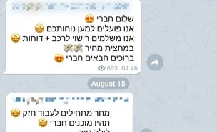 קבוצה שמבטיחה תשלום דוחות בטלגרם (צילום: צילום מסך)