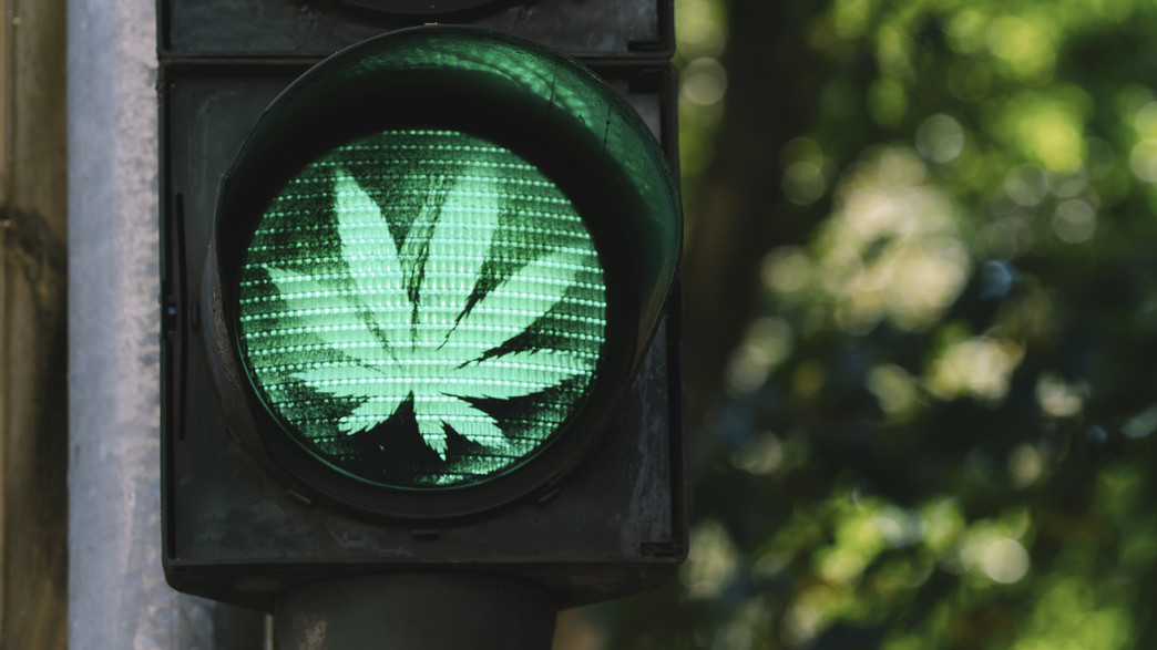 רמזור ירוק קנאביס