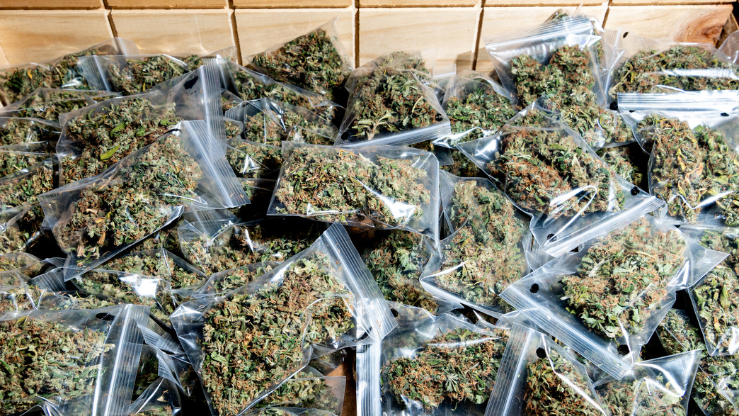 קנאביס בשקיות