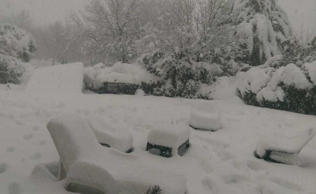 שלג באלוני הבשן (צילום:  אמיר דובדבני, TPS)