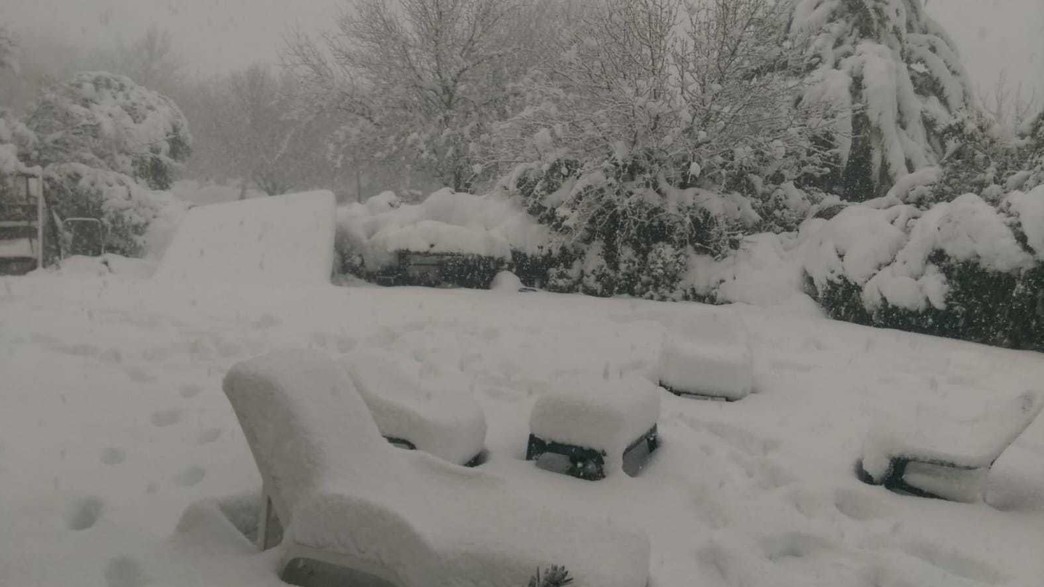 שלג באלוני הבשן