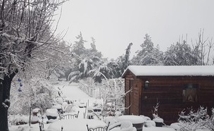שלג בקיבוץ אלרום (צילום:  יוספה ראובני)