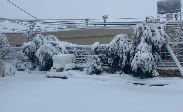 שלג במג'דל שמס (צילום: זיאד שאער)