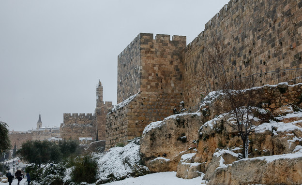 שלג בירושלים (צילום: אוליבר פיסוטי, פלאש/90 )