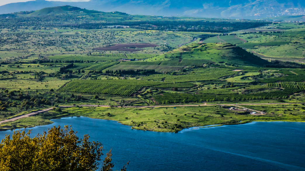 טוסקנה הישראלית טוסקנה הישראלית