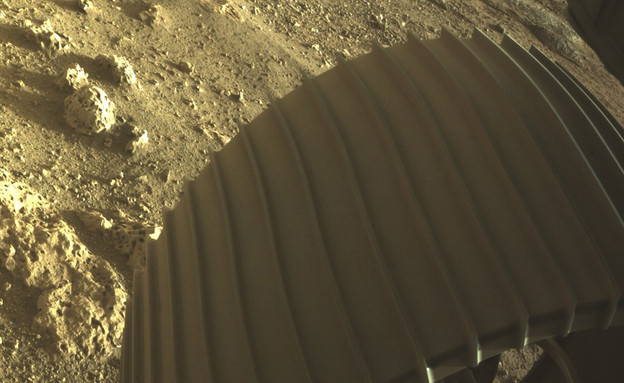 נחיתת "התמדה" על מאדים (צילום: AP)