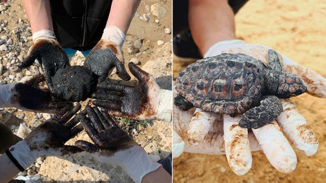 זיהום חופי ישראל