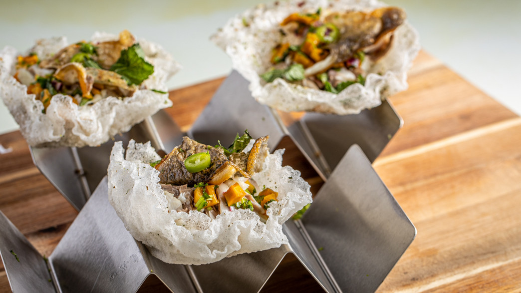 פיש טאקו מדפי אורז - בת-שי עוז