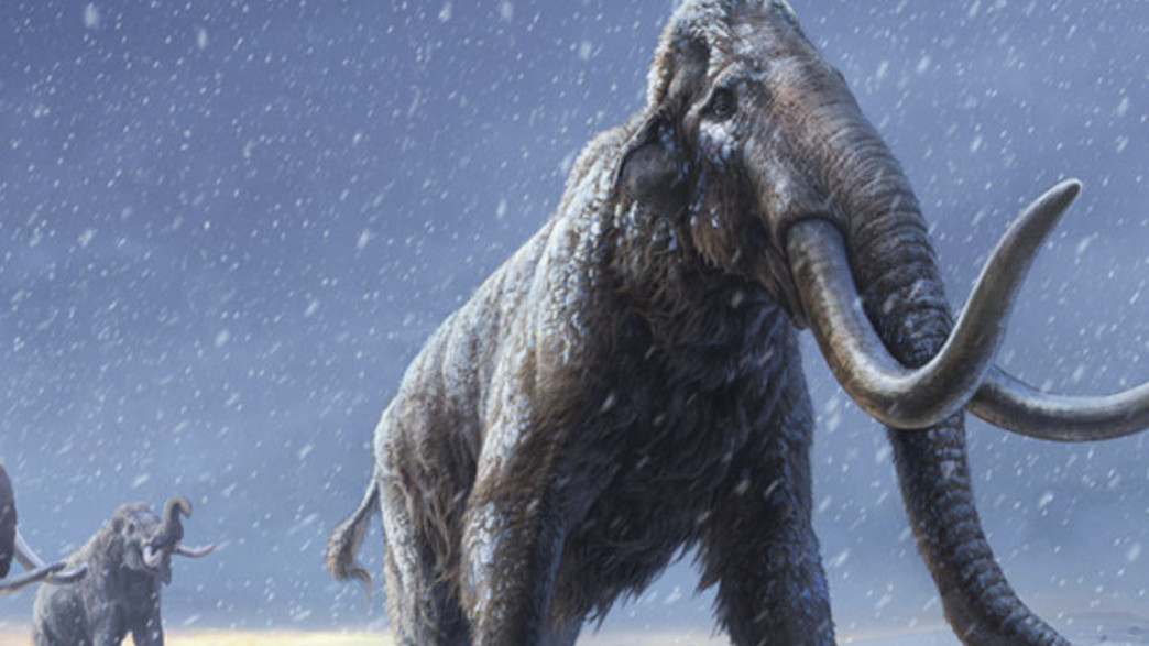 ממותה שחזרה מהכפור