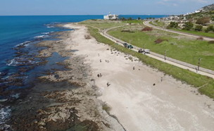 חוף תל שקמונה לאחר הזיהום (צילום: תומר עופרי, רשות הטבע והגנים)