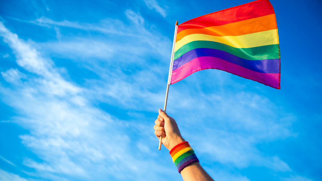 דגל הגאווה (צילום: lazyllama, Shutterstock)