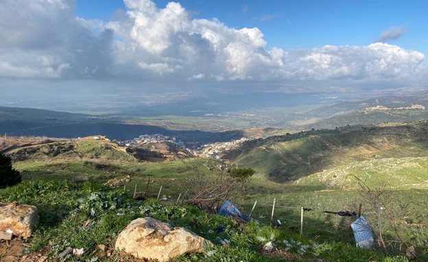 כלבה שמתה מהרעלה ברמת הגולן