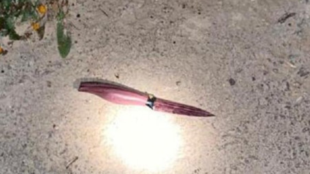 הסכין עמה ניסה המחבל לדקור את לוחם צה"ל בבקעה