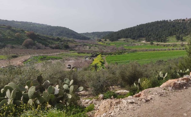 טיול ג'יפים (צילום: אילן ארנון)