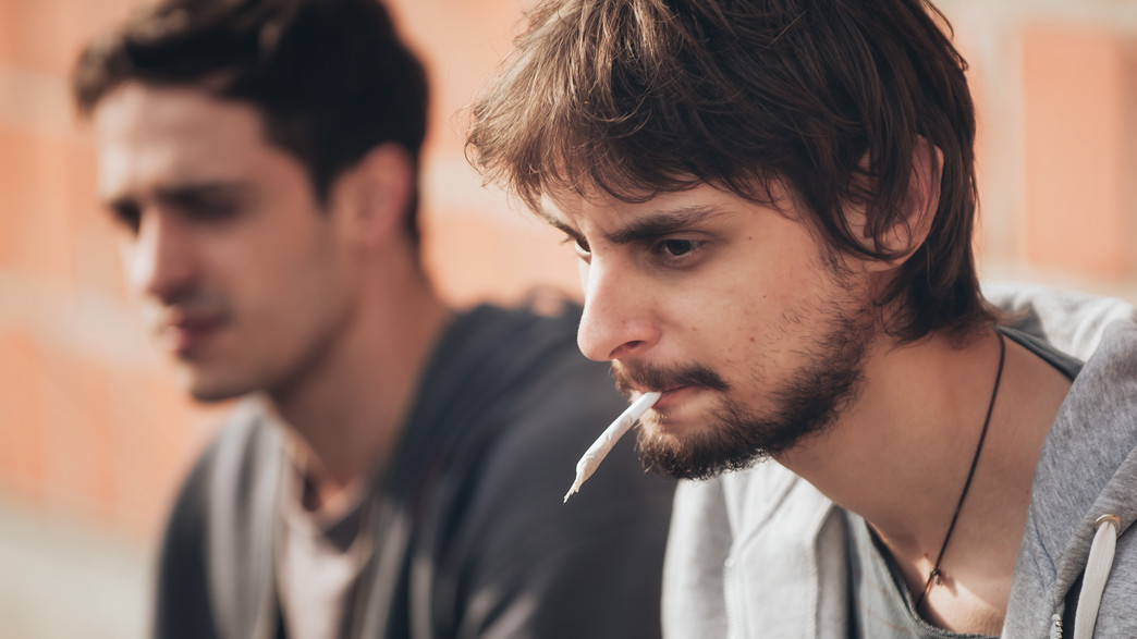 קנאביס קנאביס