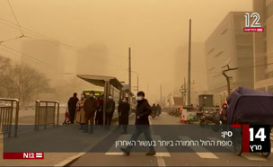 סיכום עולמי (צילום: חדשות)