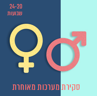 סקירת מערכות מאוחרת