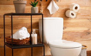 שירותים, חדר רחצה (צילום:  Pixel-Shot, Shutterstock)