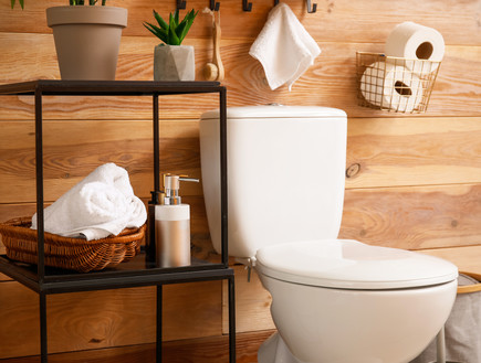 שירותים, חדר רחצה (צילום:  Pixel-Shot, Shutterstock)