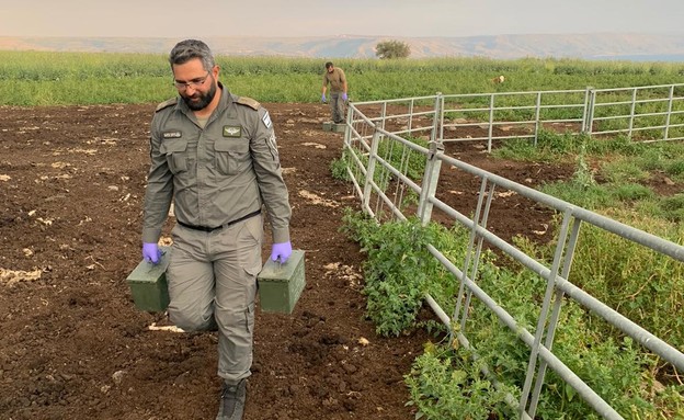 תחמושת, מצה"ל, ונתפסה, בטובא זנגרייה (צילום: דוברות המשטרה)