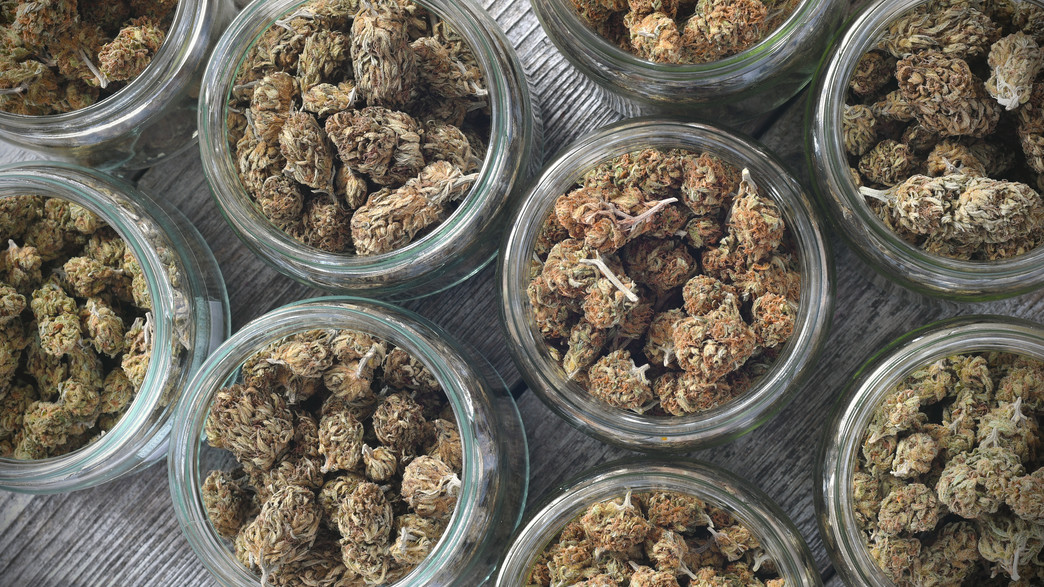 קנאביס רפואי