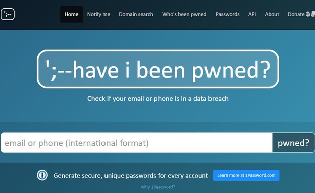 Have I Been Pwned (צילום: haveibeenpwned.com)