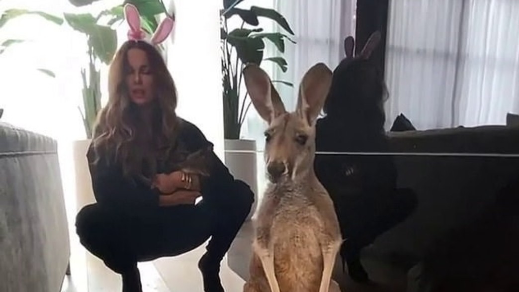 קייט בקינסייל קייט בקינסייל