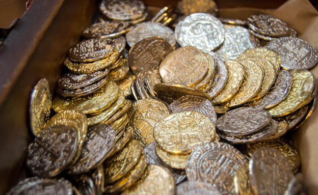 מטבעות זהב (צילום: Jazmine Thomas, shutterstock)