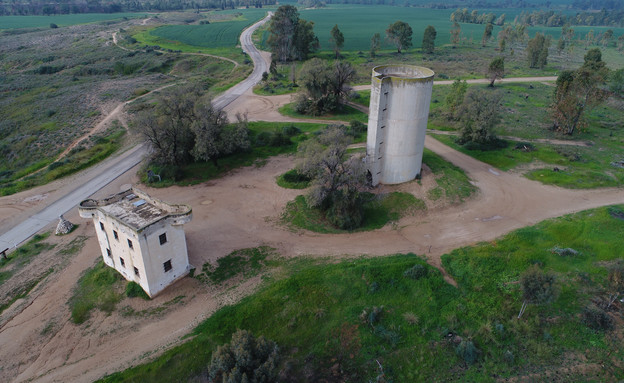 יער בארי (צילום: כאמל עליאן, קק"ל)