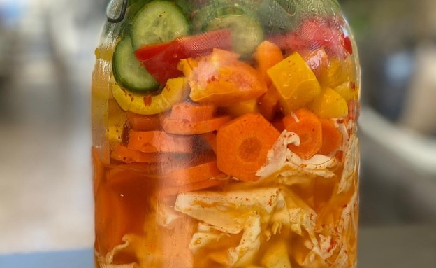 חמוצים של מיה בן אפרים