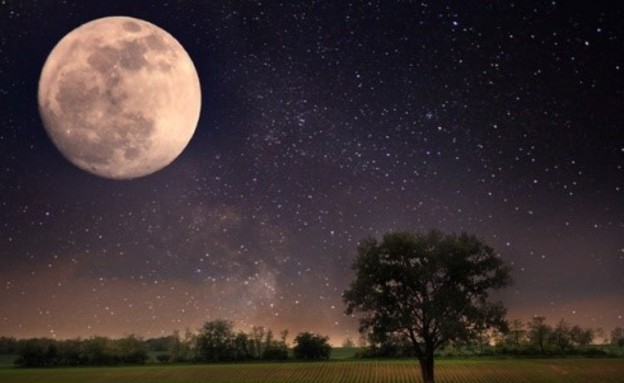 חידת הירח - פתרון (צילום: dukehealth.com)