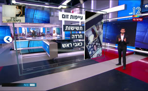 עייפות זום (צילום: חדשות)