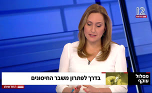 בדרך לפתרון משבר החיסונים (צילום: חדשות)