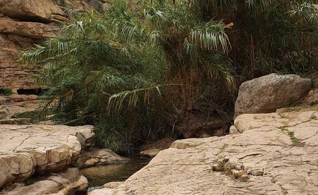 נחל פרת (ואדי קלט) (צילום: תיירות בנימין)