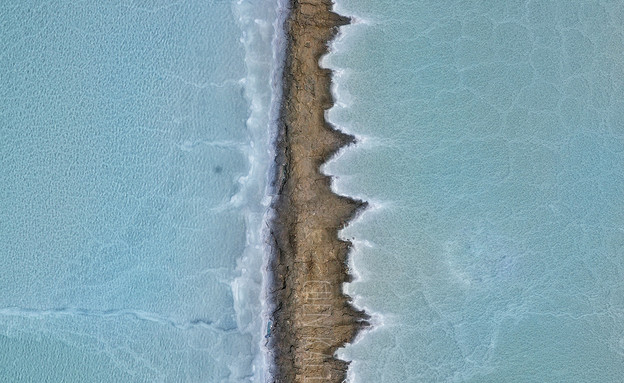 להב מלוחה - ים המלח (צילום: חן כליפה לוי)