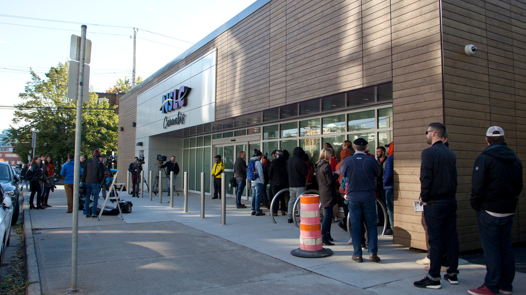 קנאביס רפואי