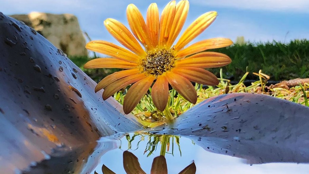 סדנה באלמא, ג - 1 סדנה באלמא, ג - 1