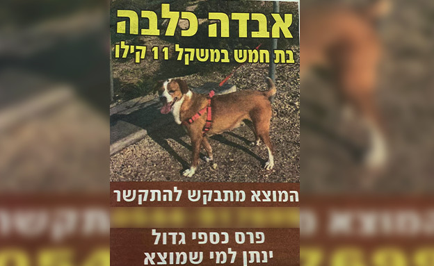 המודעה בשער האחורי של ידיעות אחרונות