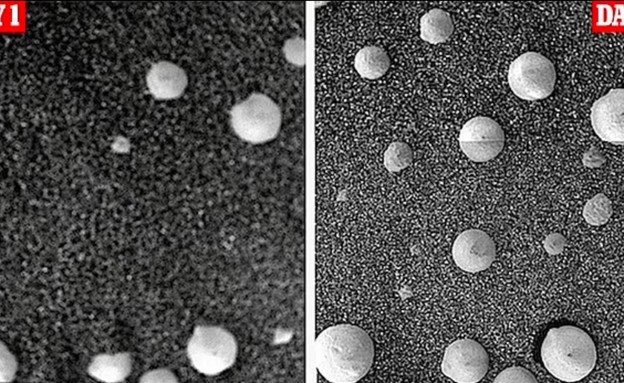 פטריות על מאדים (צילום: NASA)