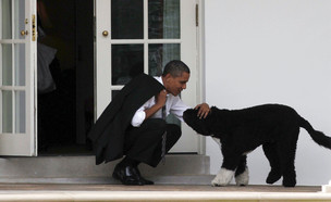 רק אובמה עם הכלב בו בבית הלבן  (צילום: רויטרס)