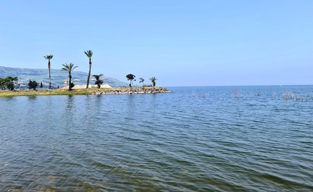 חוף צמח (צילום: יעל שביט)