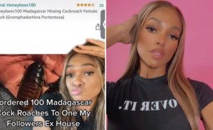 בלשית הבגידות (צילום: lawandmusic, instagram)